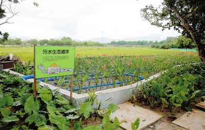 三亞已實施144個自然村生活污水治理工作