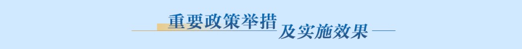 重要政策舉措及實施效果