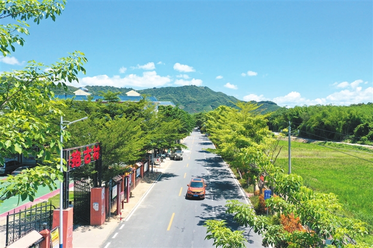 抱古“蓮花村”的“美麗致富路”