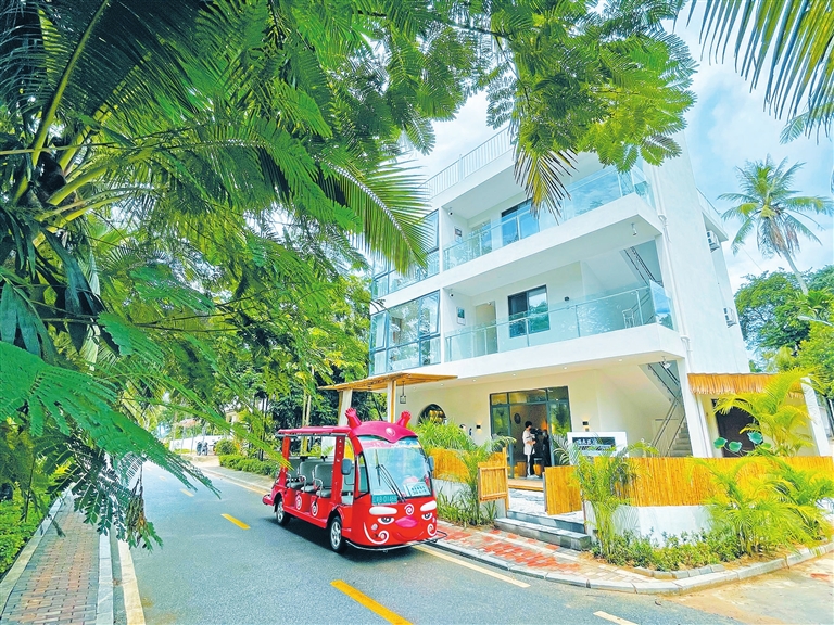 中廖：一條路帶“活”一個(gè)村
