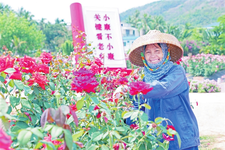 三亞農(nóng)旅融合打造鄉(xiāng)村發(fā)展“風(fēng)向標(biāo)”