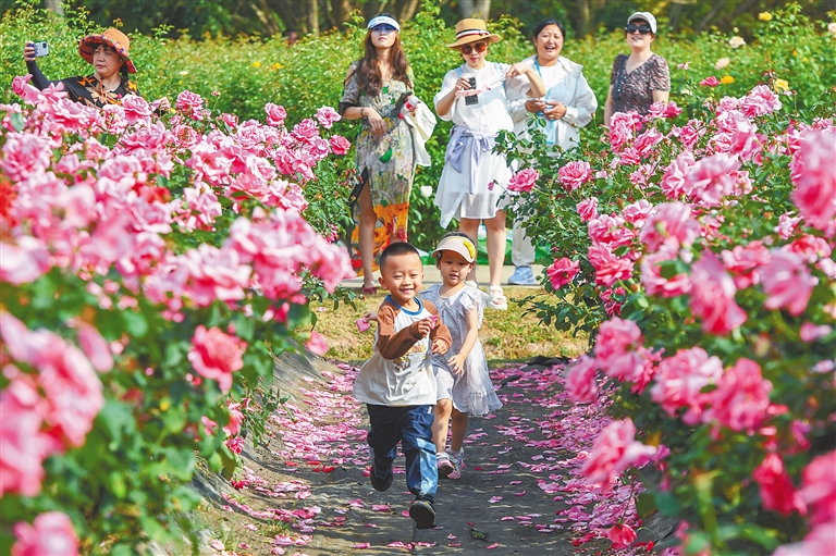 三亞市吉陽(yáng)區(qū)：博后十年