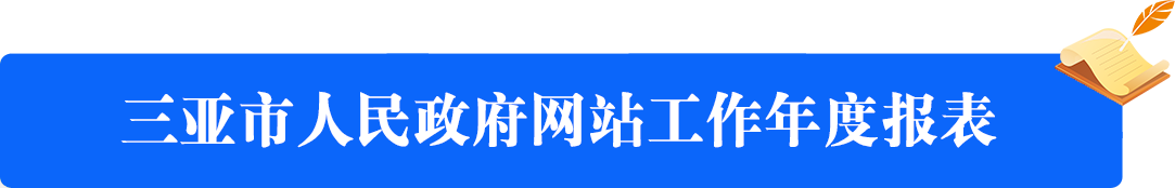 三亞市人民政府網(wǎng)站工作年度報(bào)表