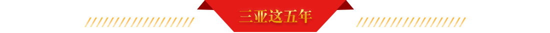 三亞這五年
