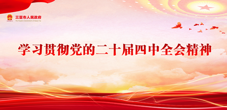 學習貫徹黨的二十屆四中全會精神